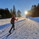 Click here to read the article